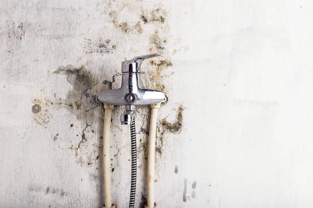 Best Kitchen Mold Remediation in Palermo, CA