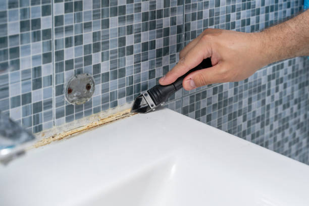 Best Health and Safety Mold Remediation in Palermo, CA